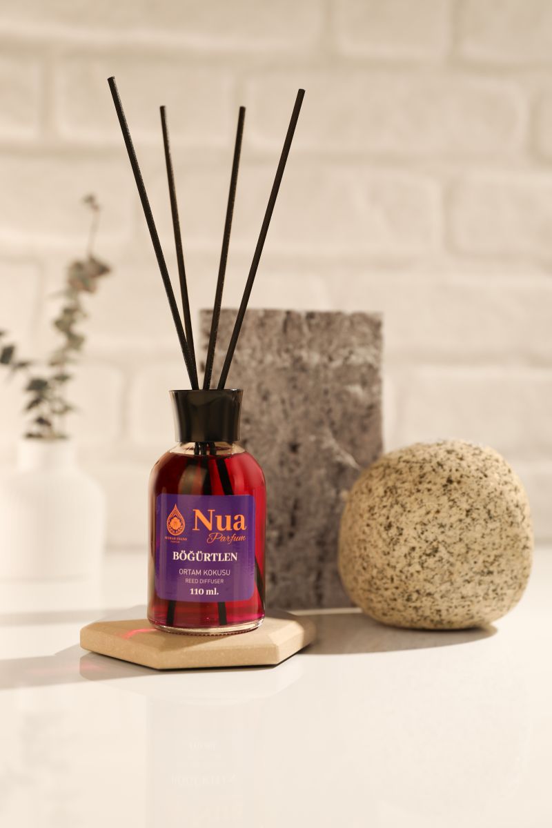 Böğürtlen Bambu Çubuklu Oda Kokusu 110 ml